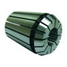Pince DIN6499 ER40
