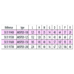 Etau SPE81 allonge mobile