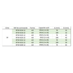 Porte-pince ER MAS403 BT 30