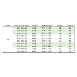 Porte-pince ER MAS403 BT 50