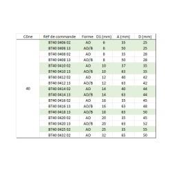 Porte-fraise Weldon MAS403 BT 40 série courte