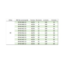 Porte-fraise Weldon MAS403 BT 40 série longue