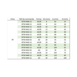 Porte-fraise Weldon MAS403 BT 50