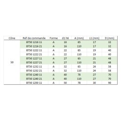 Porte-fraise à trou lisse MAS403 BT 50