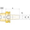 Mandrin de frettage finition HSK A 63