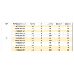 Mandrin de frettage finition HSK A 63